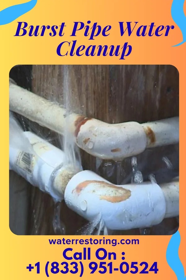 Burst Pipe Water Cleanup in Mound City, MO