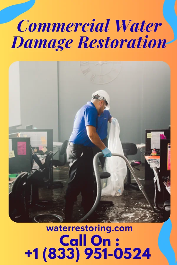Commercial Water Damage Restoration in Mound City, MO