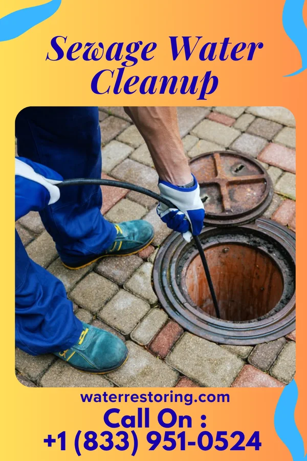 Sewage Water Cleanup in Mound City, MO