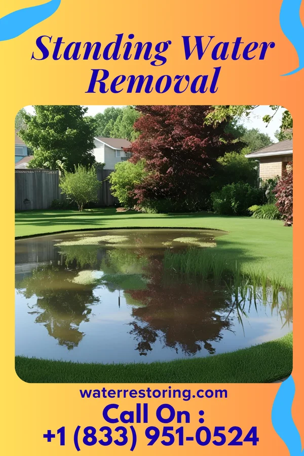 Standing Water Removal in Mound City, MO